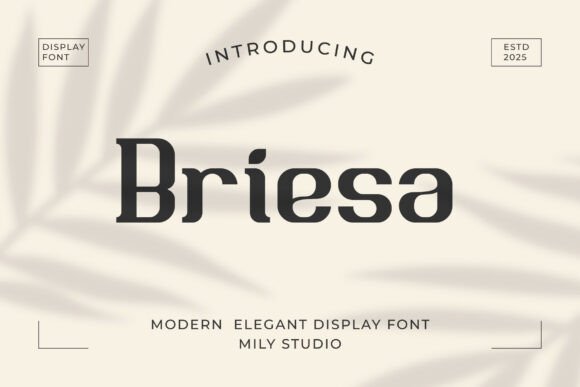 Briesa: A Warm and Neat Display Font for Creative Makers