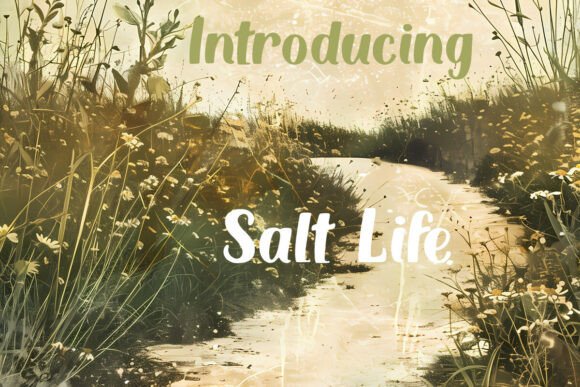 Salt Life Font for Charming Branding and Creative Projects